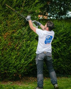 Envie d’un jardin impeccable au printemps ? 🌼