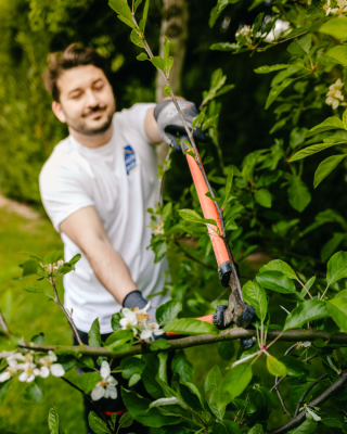 🐣À Pâques, les œufs se cachent un peu partout dans le jardin…